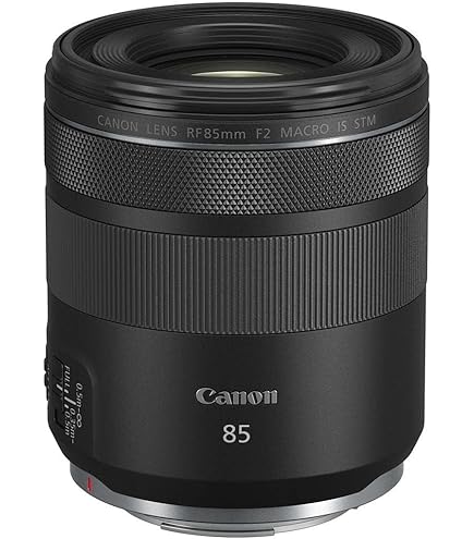 Canon EF 100mm f/2.8L IS USM Macro Lens for Canon Digital SLR