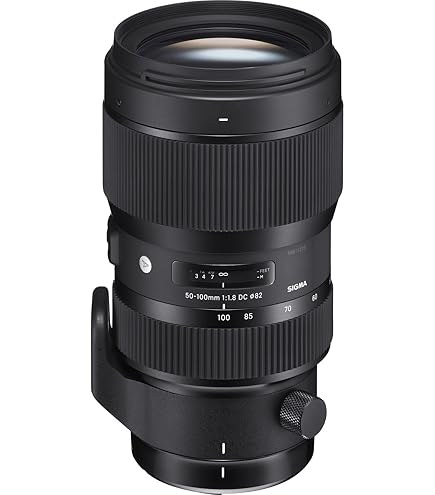 Amazon.com : Sigma 135mm f/1.8 DG HSM Art Lens for Nikon F