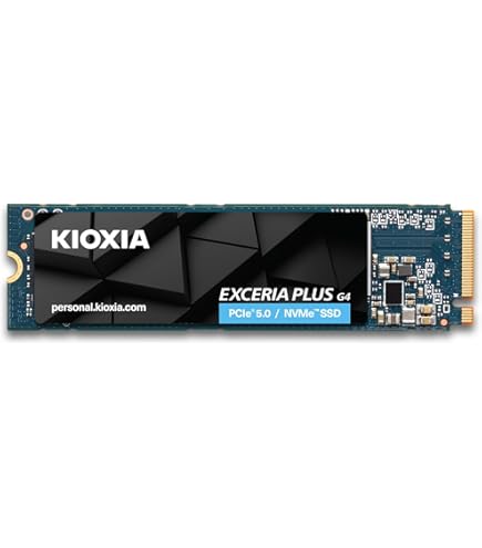 Amazon.com: KIOXIA EXCERIA with Heatsink NVMe™ SSD 1TB : Electronics