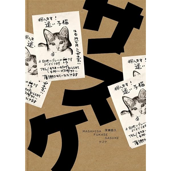 Discovering Aiki My 20 Years with Yukiyoshi Sagawa Sensei: Tatsuo