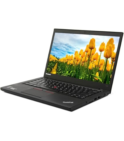 Amazon.com: Lenovo 12.5