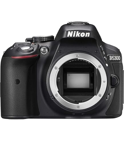 Amazon.com : D5600 DX-format Digital SLR Body : Electronics