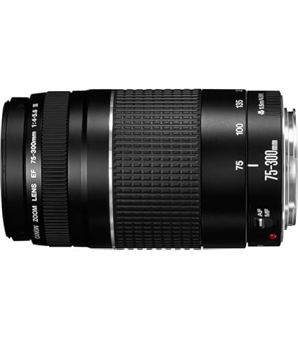 Amazon.com : Canon EF 100-300mm f/4.5-5.6 USM Telephoto Zoom Lens
