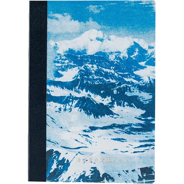 ほぼ日 Hobonichi Techo Accessories Naoki Ishikawa: Hobonichi Graph