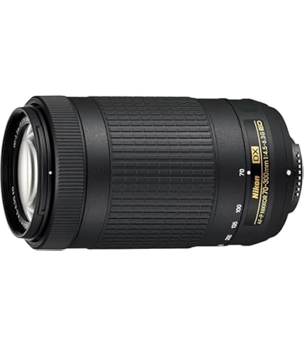 Amazon.com : Nikon AF-S DX NIKKOR 55-300mm f/4.5-5.6G ED Vibration