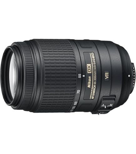 Amazon.com : Nikon AF-S FX NIKKOR 28-300mm f/3.5-5.6G ED Vibration