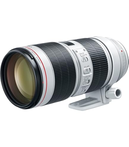 Amazon.com : Canon EF 70-200mm f/2.8L is III USM Lens for Canon