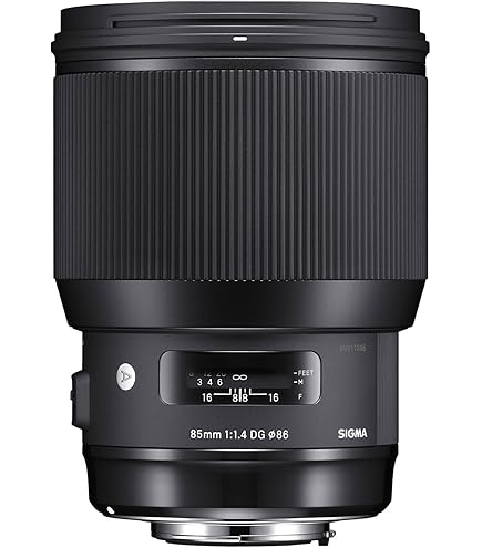 Amazon.com : Sigma 50mm F1.4 Art DG HSM Lens for Nikon : Electronics