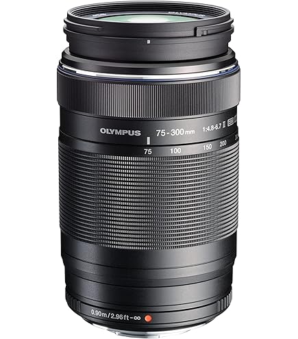 Amazon.com : OM SYSTEM OLYMPUS Zuiko 70-300mm f/4.0-5.6 ED Lens