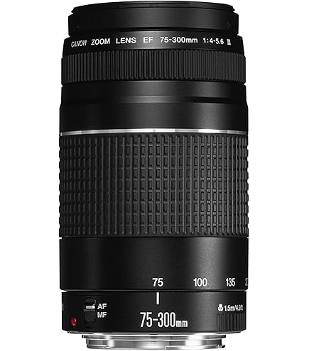 Amazon.com : Canon EF 75-300mm f/4-5.6 III Telephoto Zoom Lens for