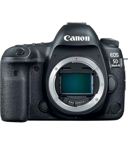 Amazon.com : Canon EOS 80D Digital SLR Kit with EF-S 18-55mm f/3.5
