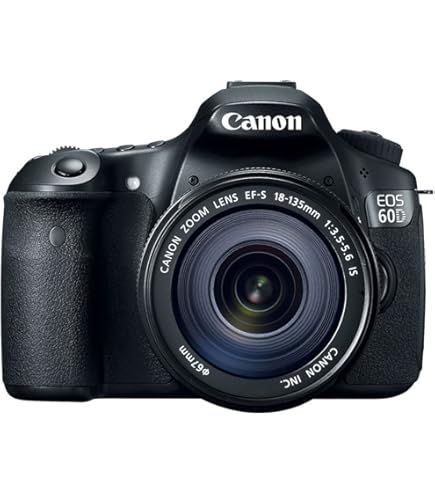 Amazon.com : Canon EOS 70D Digital SLR Camera with 18-55mm STM