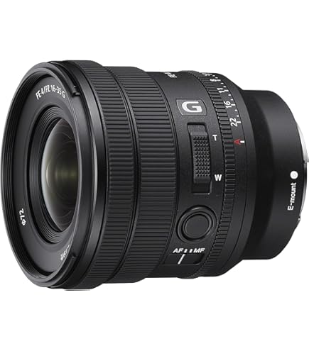 Amazon.com : Sony FE PZ 16-35mm f/4 G Lens for Sony E : Electronics