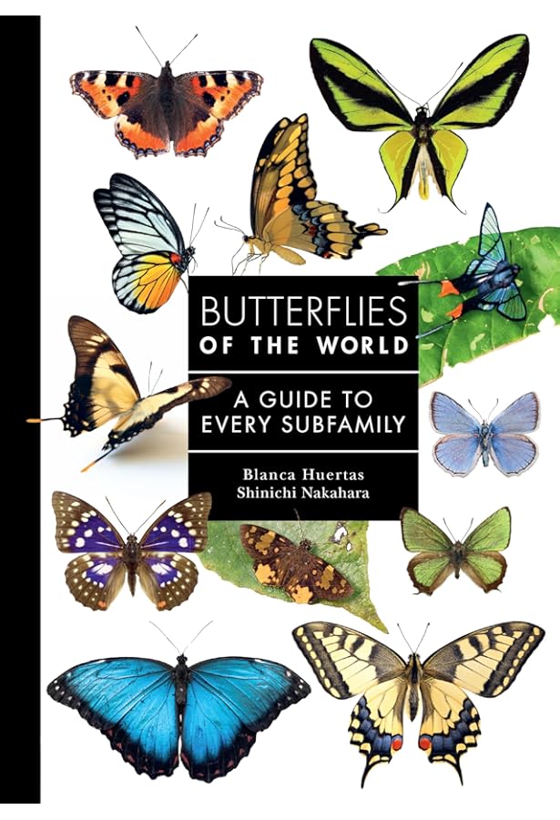 Butterflies of the World: Lewis, Hilary Leonard: 9780946495443