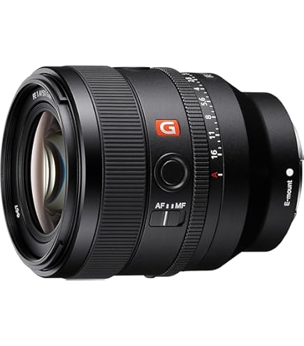 Amazon.com : Sony E-mount FE 24mm F1.4 GM Full Frame Wide-angle