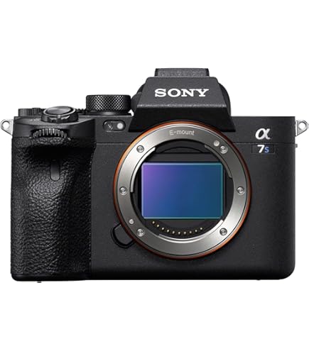 Amazon.com : Sony a7S II ILCE7SM2/B 12.2 MP E-mount Camera with
