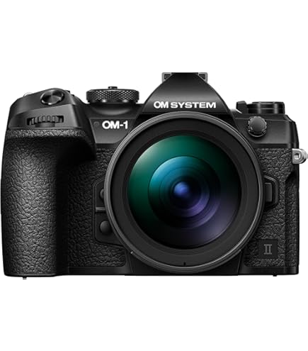 Amazon.com : Olympus OM-D E-M5 Mark II Micro Four Thirds System