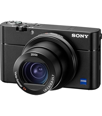 Amazon.com : Sony Cybershot WX100 18.2 Megapixel 10xzoom Black