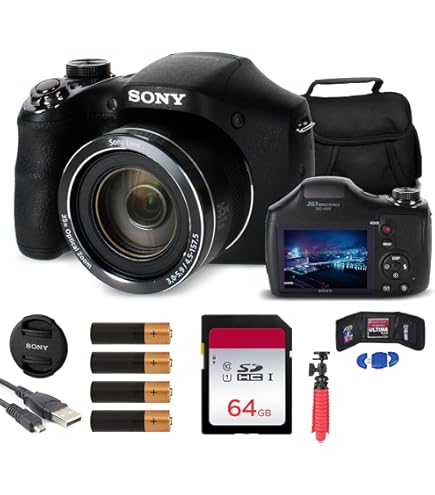Amazon.com : Sony Cybershot DSC-HX1 9.1MP 20x Optical Zoom Digital
