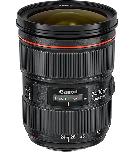 Amazon.com : Canon EF 24-70mm f/2.8L USM Standard Zoom Lens for