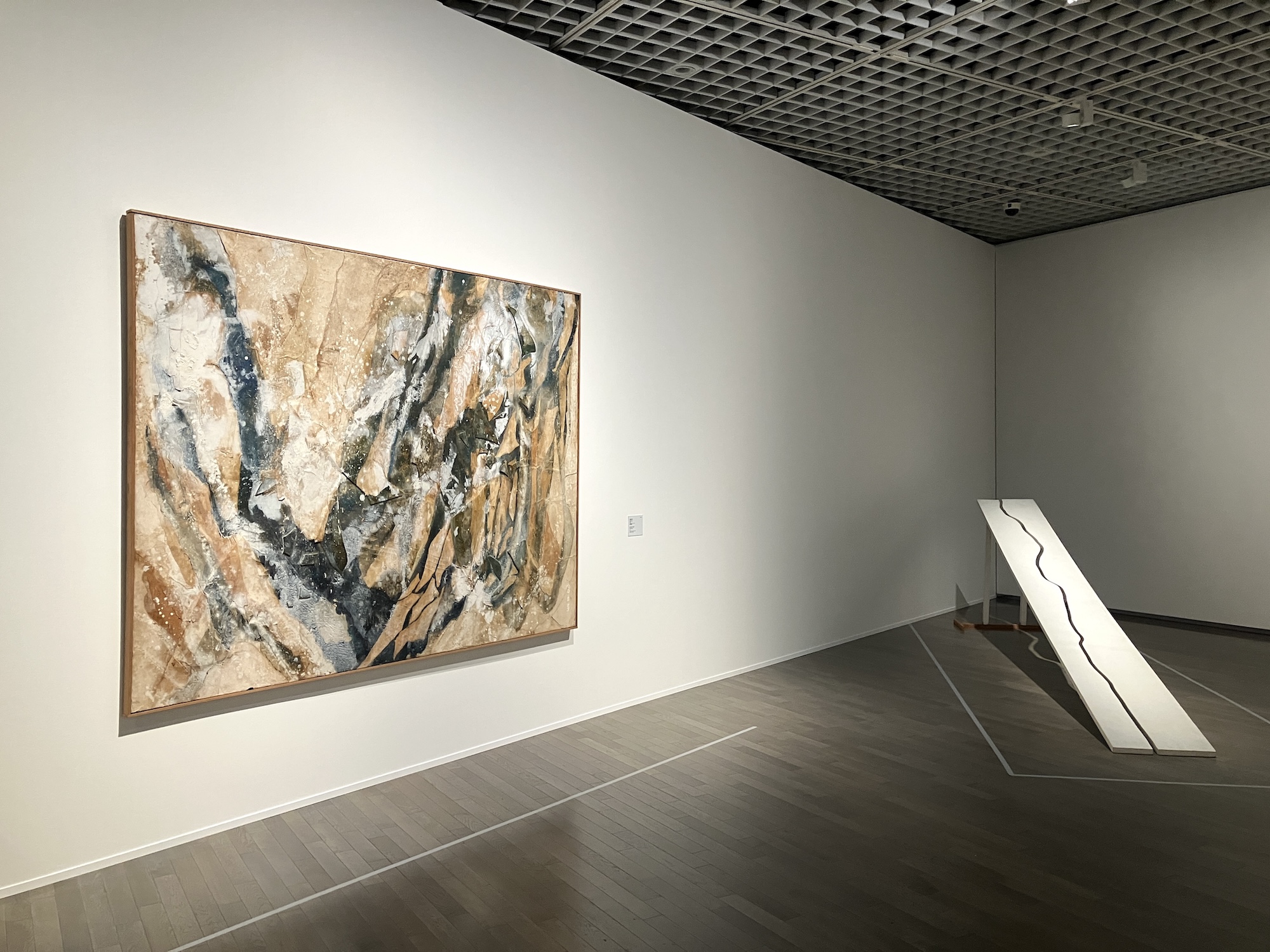 アンチ・アクション」展が東京国立近代美術館で開幕。戦後14人の女性