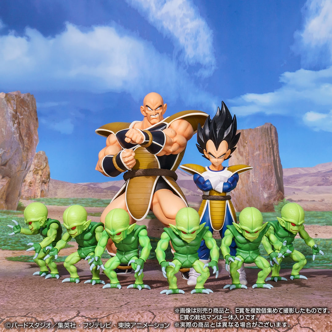 ドラゴンボール』一番くじ最新作にベジータ、ナッパ、栽培マン