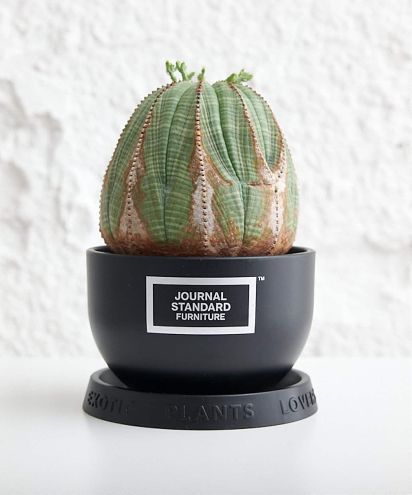 BOTANIZE×JSF /ボタナイズ】 PLA POT SET 植物用 ポット セット