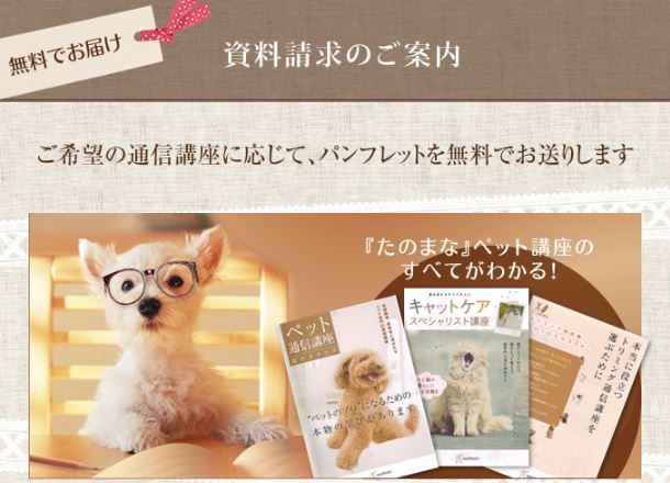 通信】キャットケアスペシャリスト講座 | ヒューマンアカデミー（通信