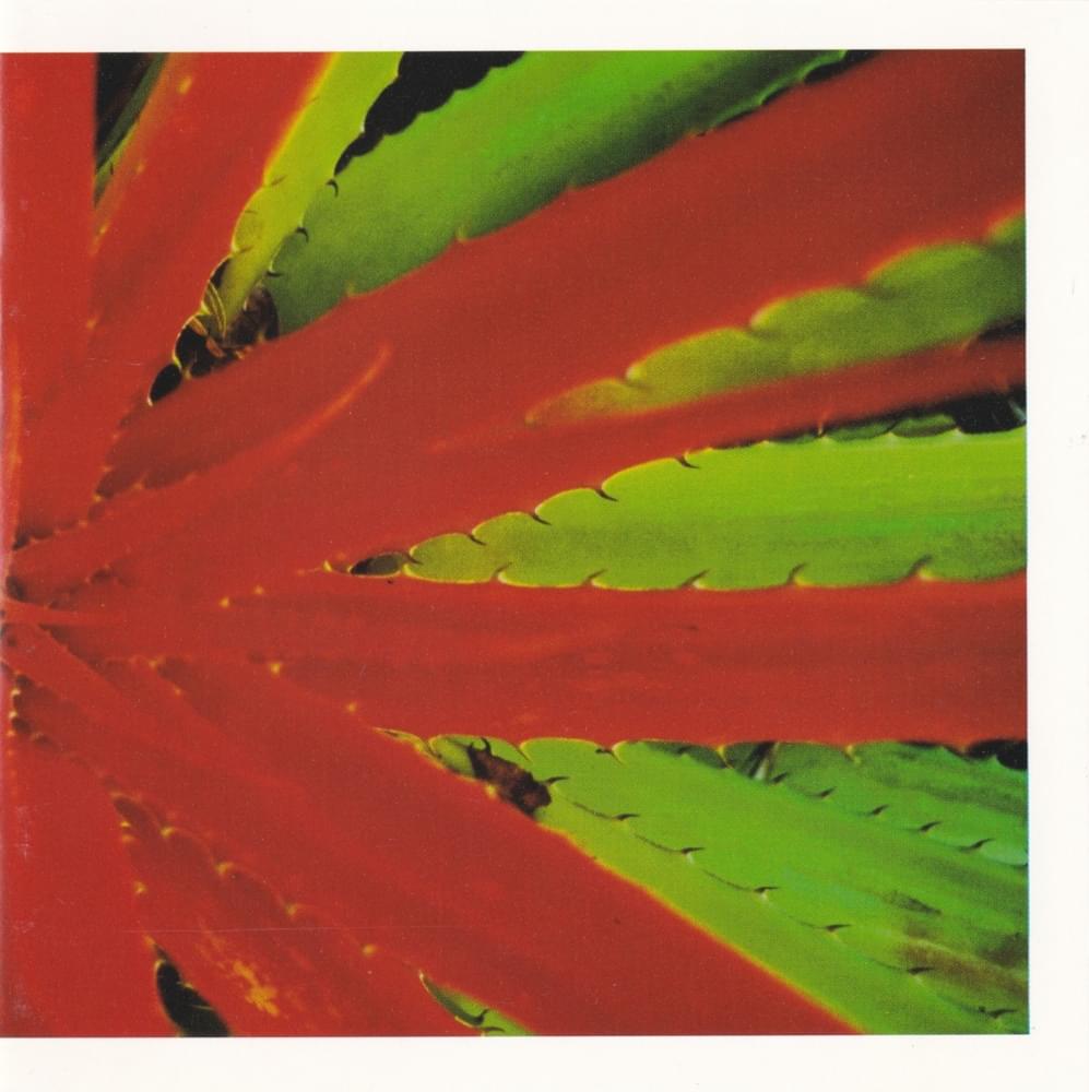 Jejune - This Afternoons Malady Lyrics and Tracklist | Genius