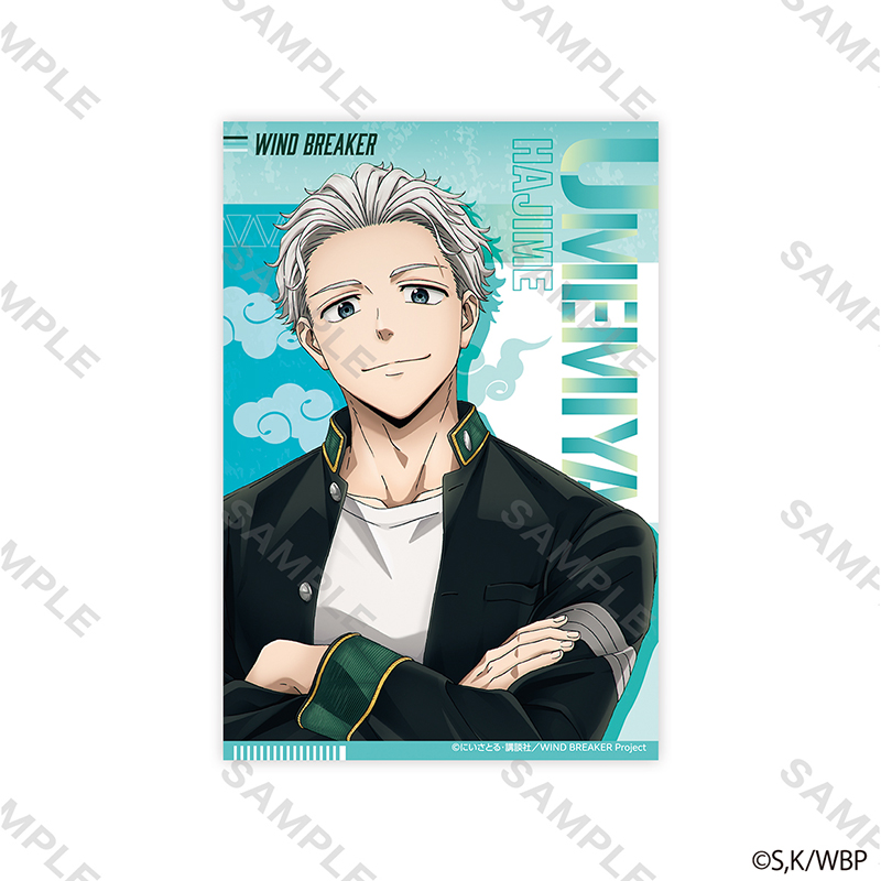 WIND BREAKER ポストカードセット キービジュアル【YTE公式オンライン