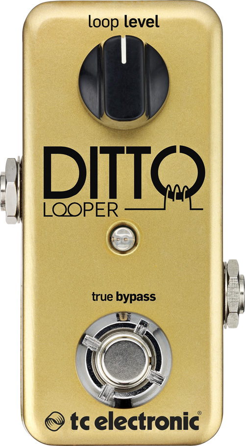 TC Electronic Ditto Looper Gold (Limited Edition) | guitarguitar