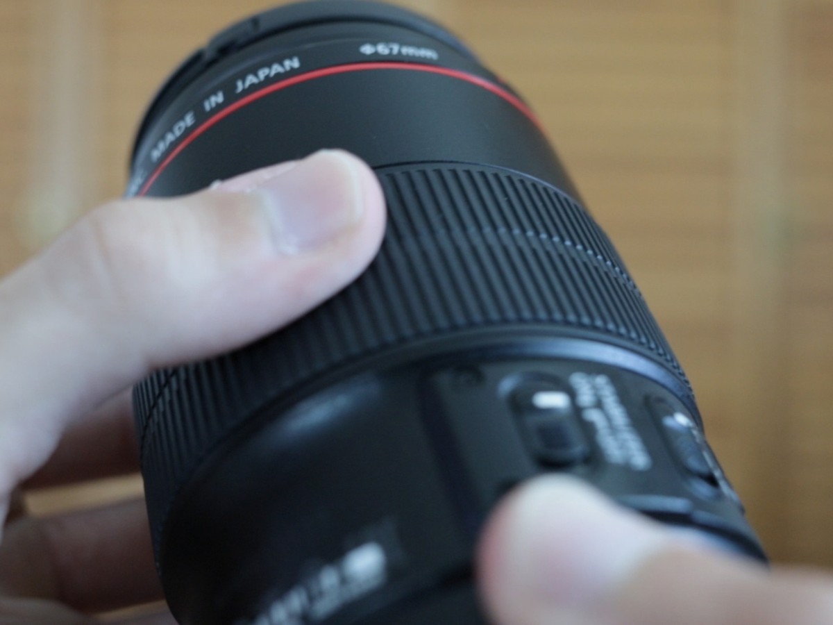 Canon EF 100mm f/2.8L IS Macro Lens Review