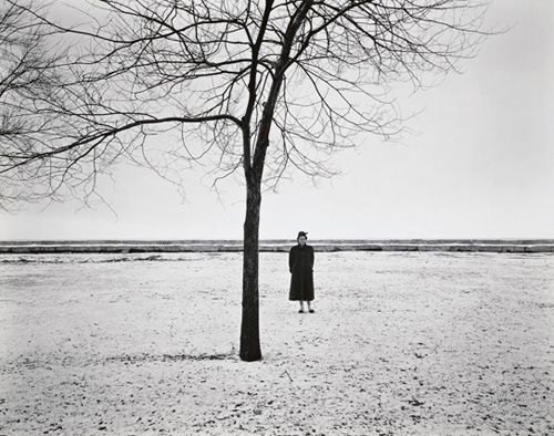 Harry Callahan: The Photographer at Work - Photographs by Harry