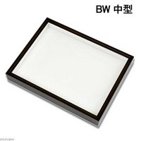 バードウィング製 ドイツ型標本箱 BWミニ (幅25×奥行き20×高さ5.5cm