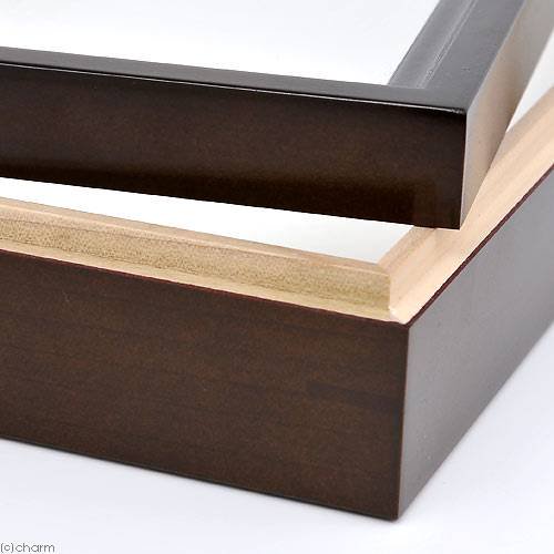 バードウィング製 ドイツ型標本箱 BW中型 (幅42.5×奥行32.5×高さ5.5cm