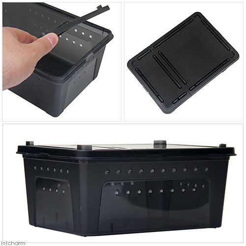 2台おまとめ】80×40×40 ストッパー 全コ 爬虫類ケージ 2台おまとめ】80