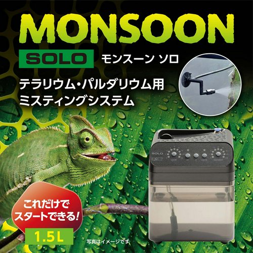 GEX エキゾテラ モンスーンソロ ミスティング カメレオン | チャーム
