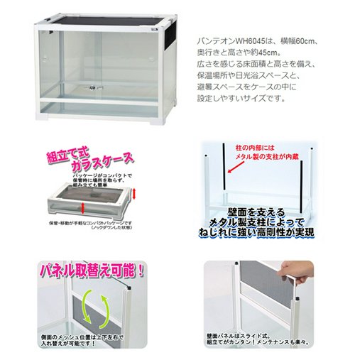 爬虫類ケージ 三晃商会 パンテオン ホワイト WH6045(60.5×45.5×45cm