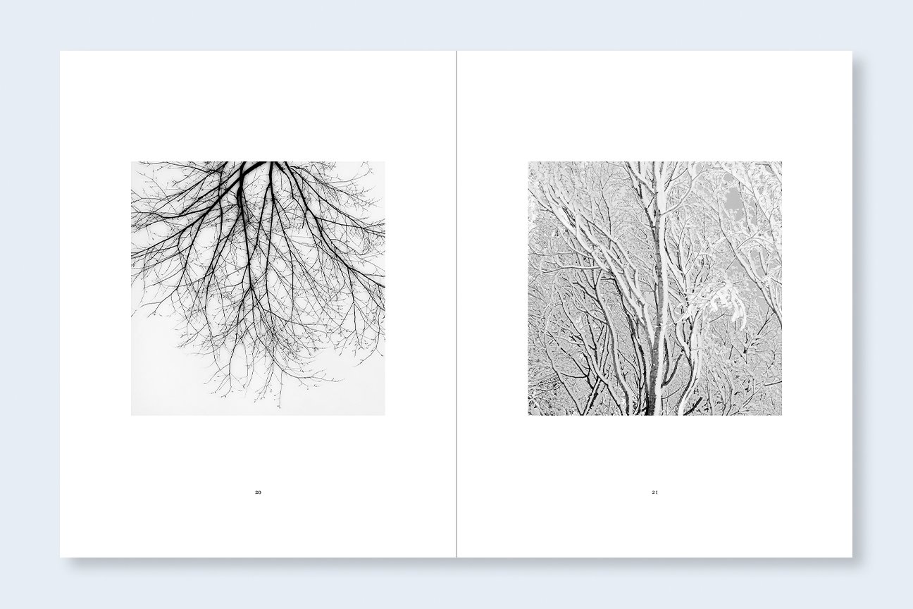 JEFFREY CONLEY | Winter — Nazraeli Press