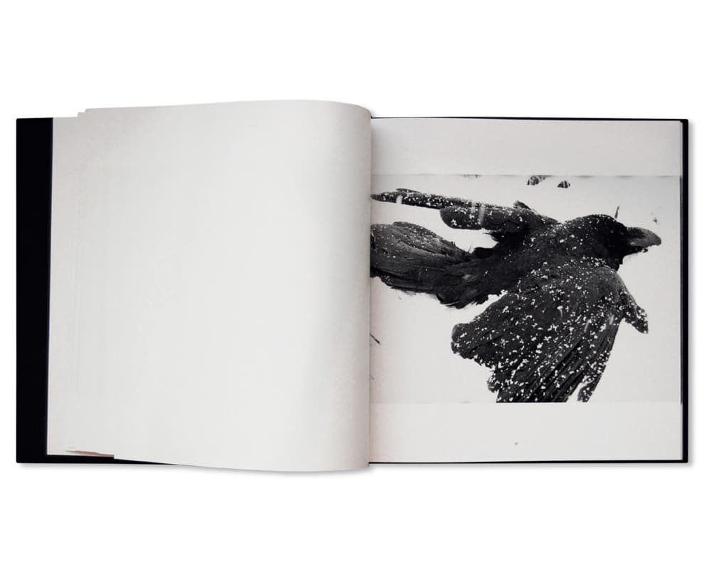 深瀬昌久代表作『鴉』復刻版が刊行、プレオーダー受付中 | NEWS | IMA