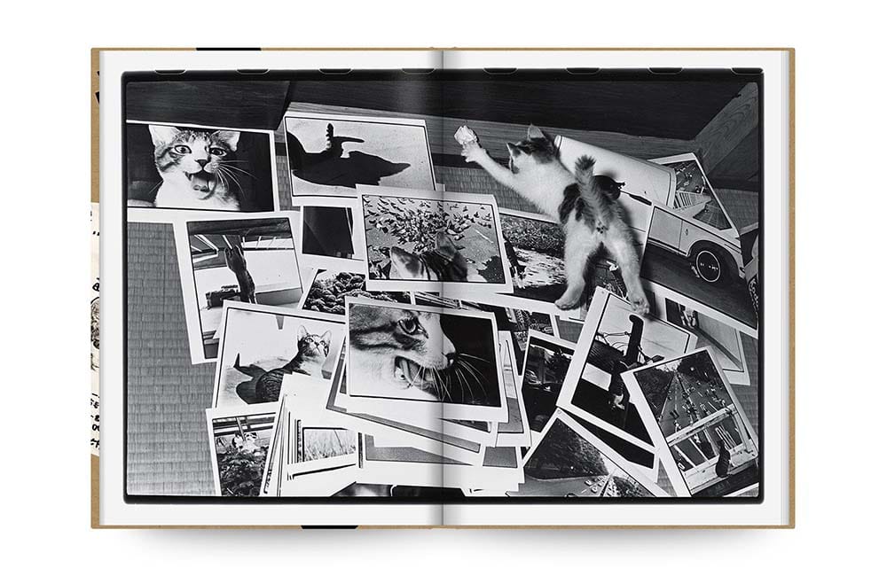 猫写真を超え、その作品世界の中核をなす決定版、深瀬昌久『サスケ