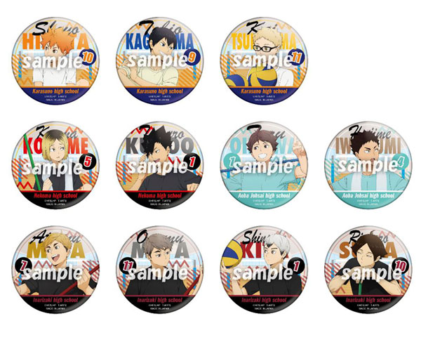 ハイキュー カラパレ バッジ 掃除 100点 日向翔陽 ハイキューカラパレ