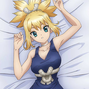 Dr.STONE 抱き枕カバー 描き下ろし プレミアム抱き枕カバー 七海龍水