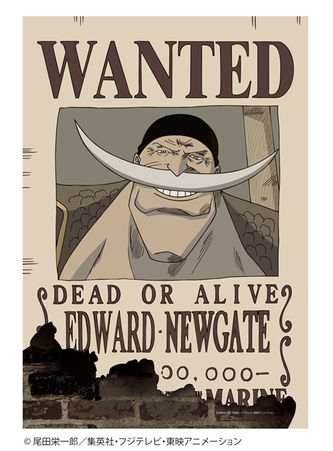 ONE PIECE（ワンピース）』懸賞金ランキング一覧｜キャラクターの紹介