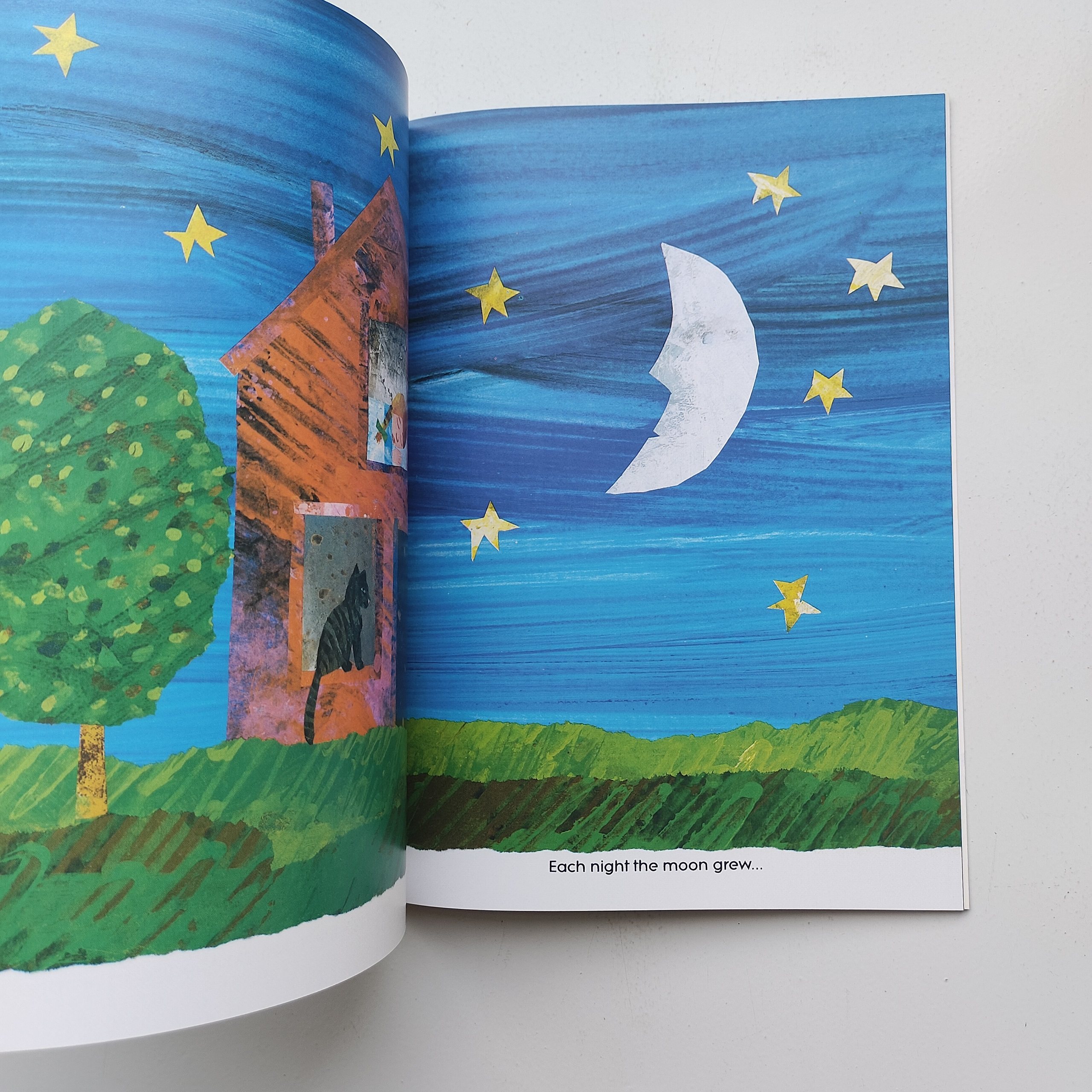 Papa Please Get The Moon Book Papa Please Get The Moon For Me