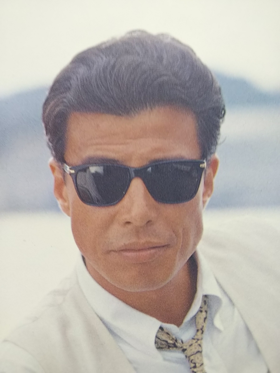 舘ひろしアルマーニ廃盤サングラス専用 舘ひろしアルマーニ廃盤