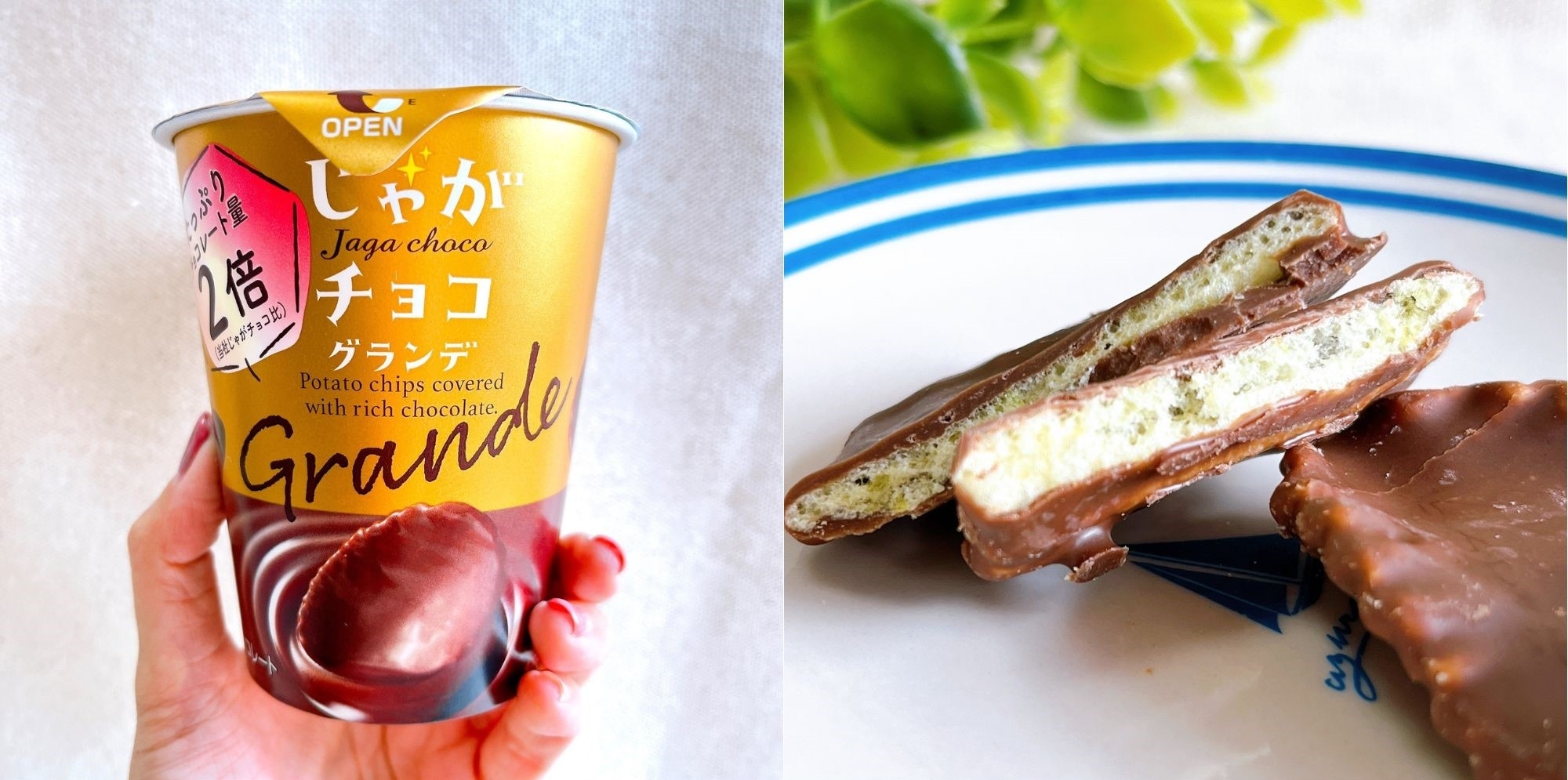 GENERATIONS チーズジャガ じゃがチョコ コラボノート