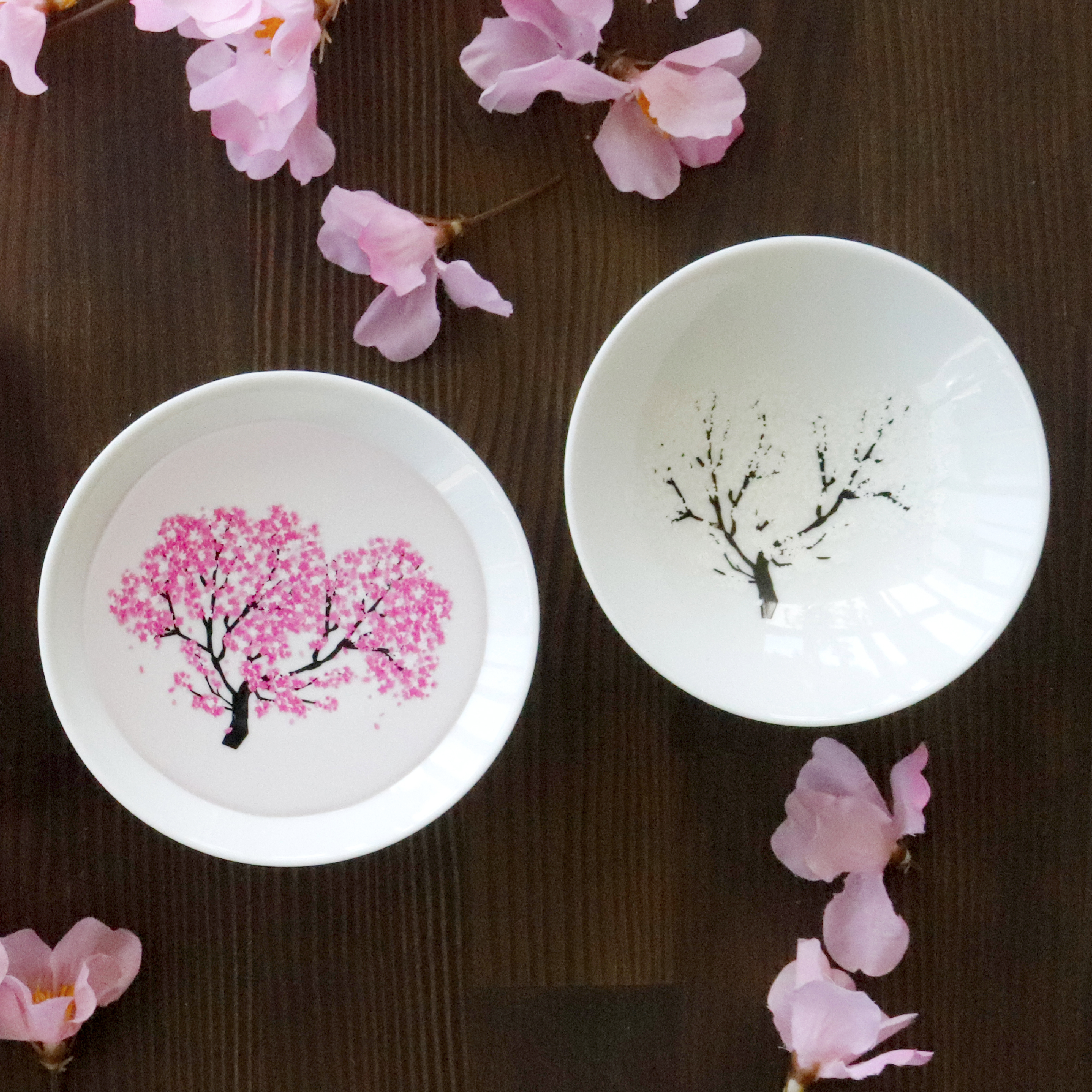 冷感桜 白平盃ペアセット 丸モ高木陶器 酒器 盃 おちょこ 冷酒グラス