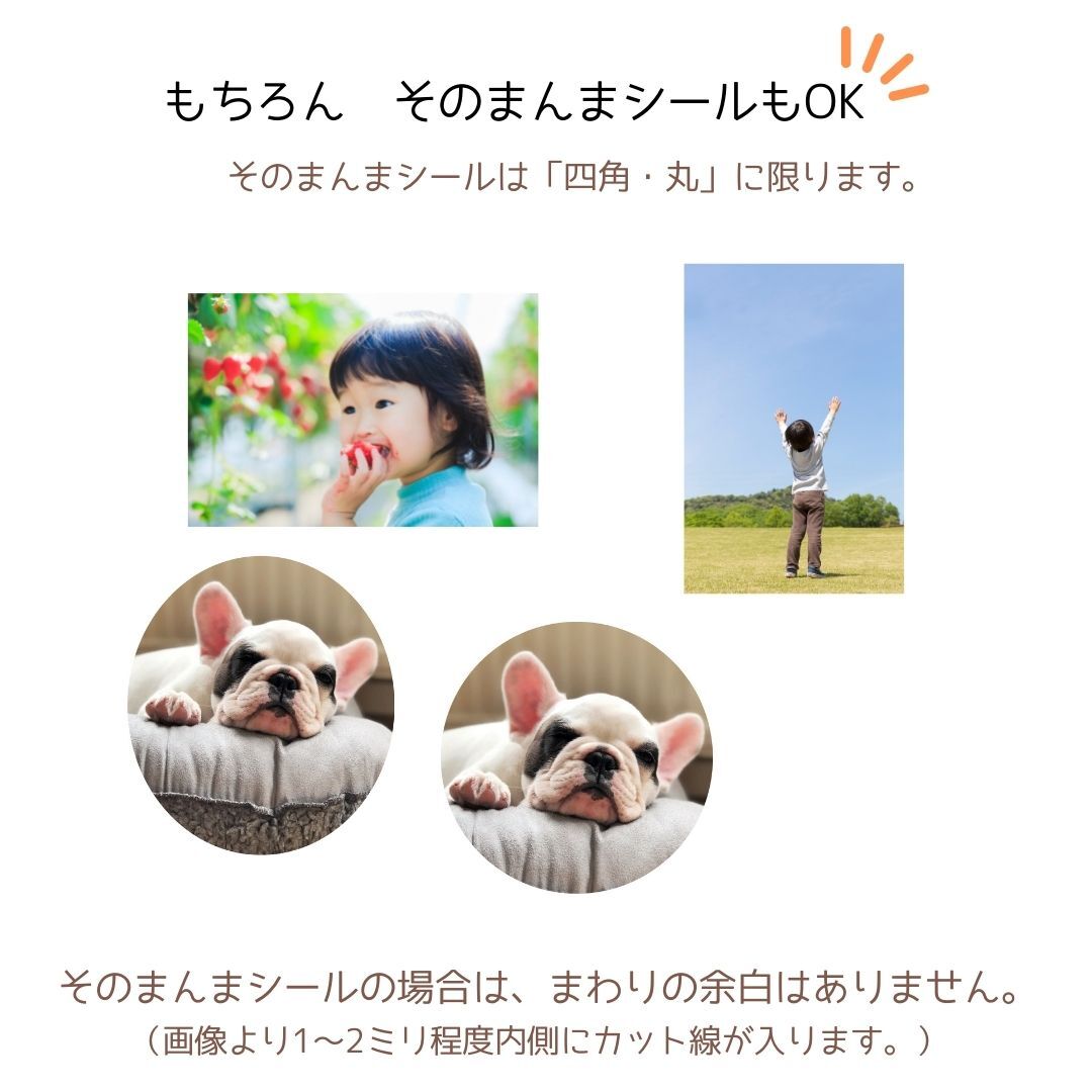 写真 切り抜き そのまま シール ステッカー 14～20枚セット サイズ