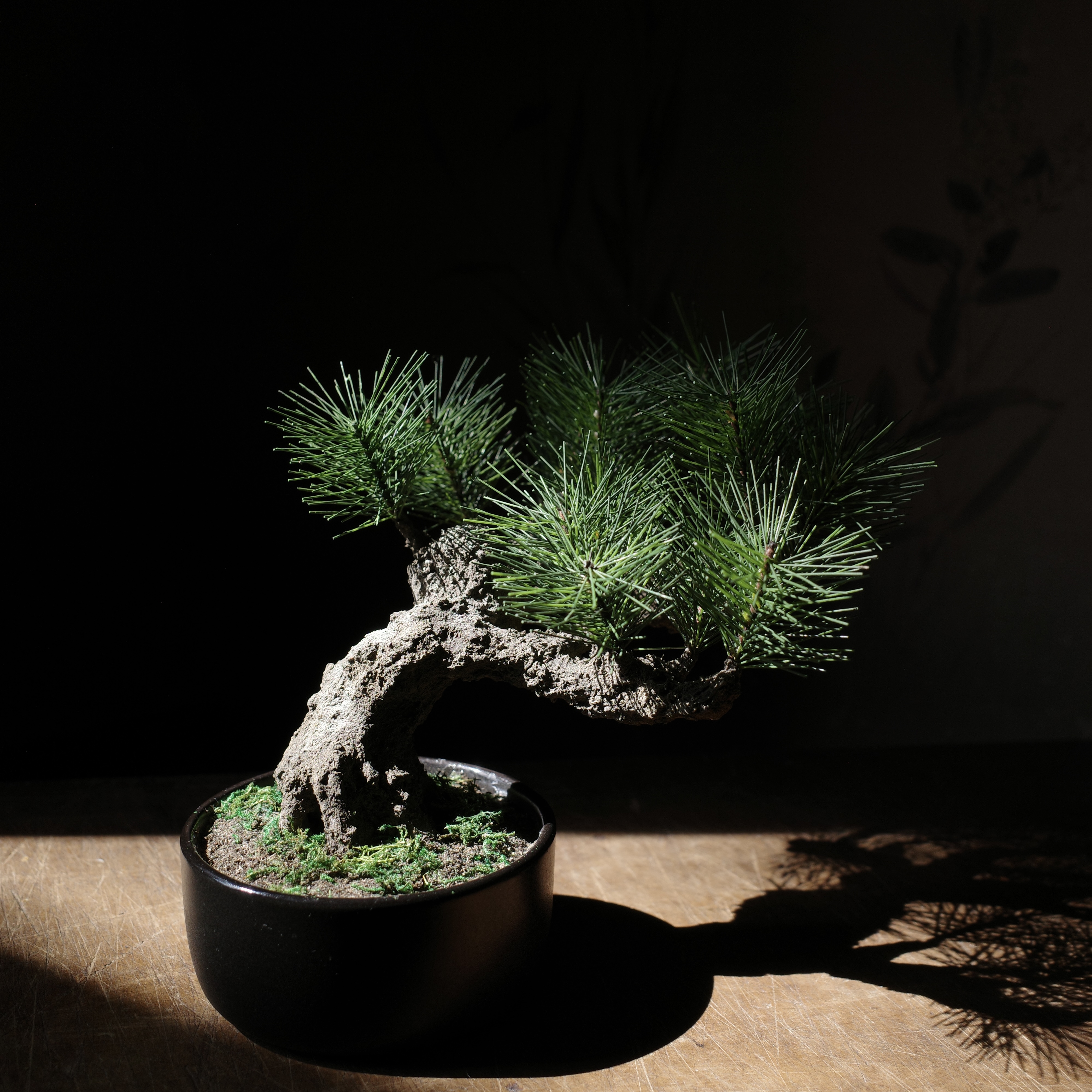 Modern Bonsai M】手入れ不要のフェイク盆栽 本物志向 高品質 ホテルや